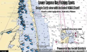 Lower Laguna Bay Texas Fishing Map