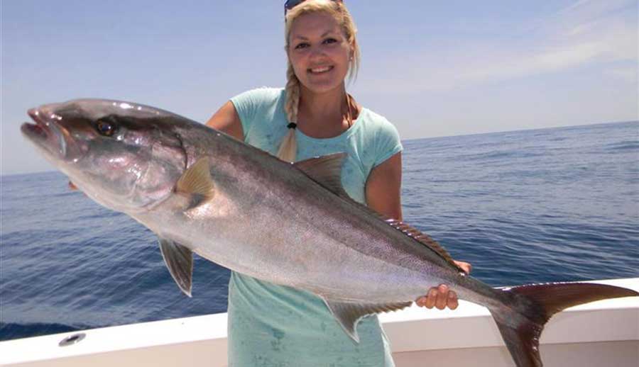 Matagorda to Corpus Christi offshore Fishing Spots - Amberjack