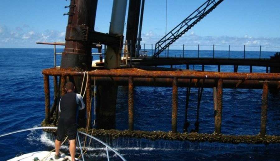 Texas Oil Rig Fishing - offshore Fishing Spots