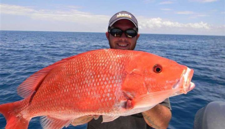  South Padre Island Offshore Fishing Spots - Texas Fishing 